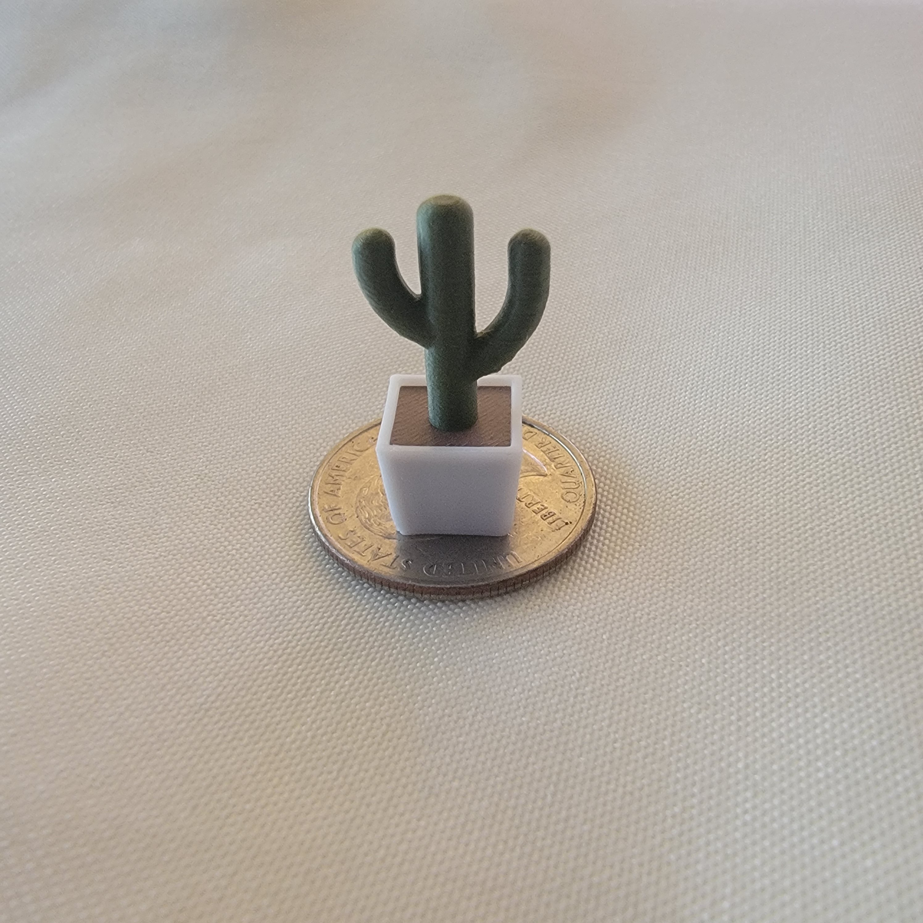 Cactus