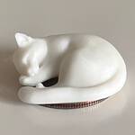 White Cat